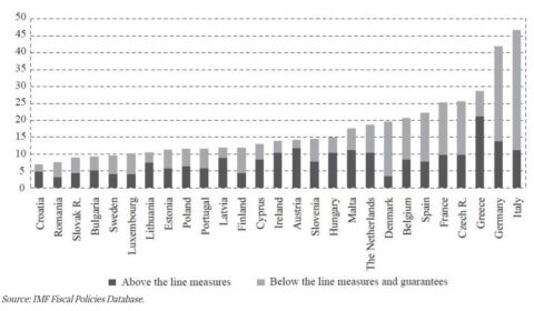 Macro and micro effects of fiscal policy – experience from the COVID-19 pandemic