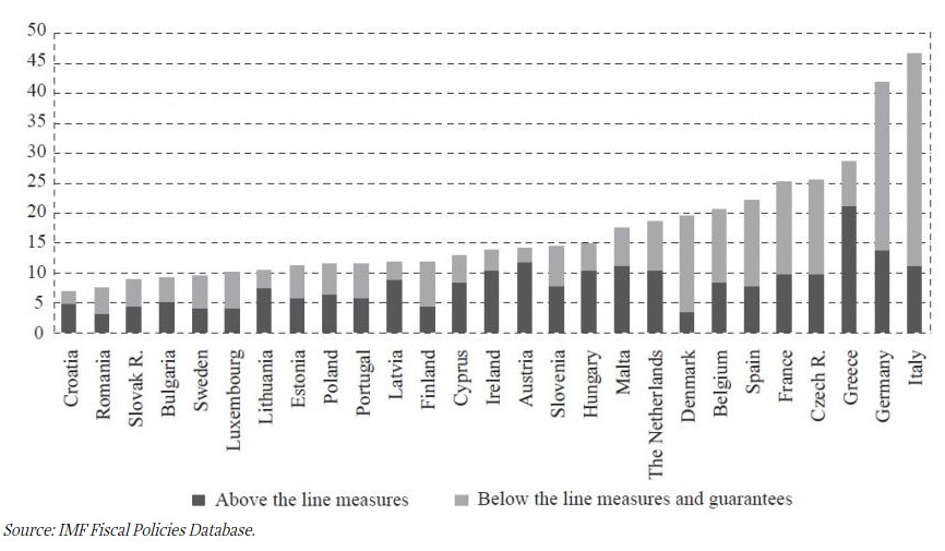 Macro and micro effects of fiscal policy – experience from the COVID-19 pandemic