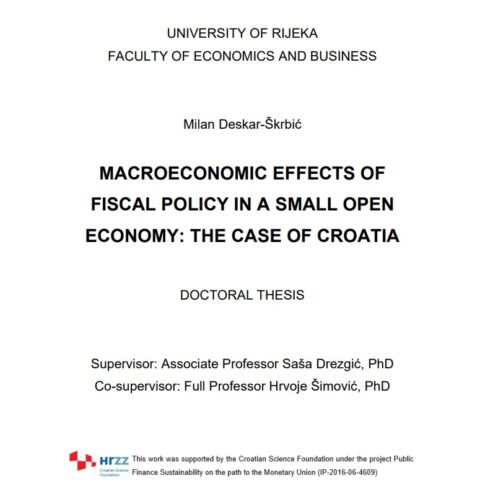 Macroeconomic effects of fiscal policy in a small open economy